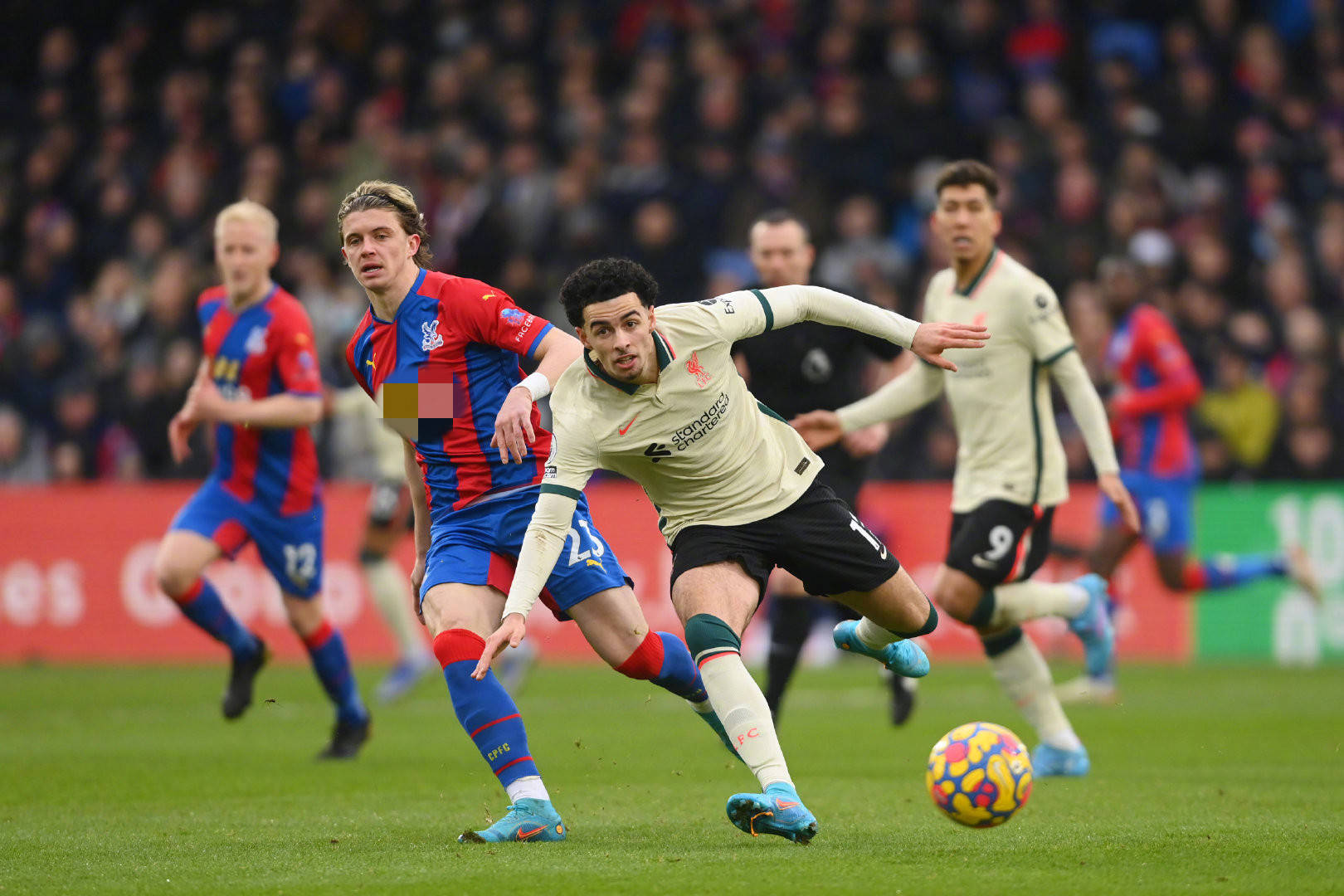 一个强调尊 一个强调尊